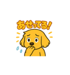 ゴールデンレトリバー ウェル吉スタンプ①（個別スタンプ：29）