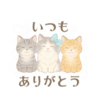 モフかわ毛長ねこピノの日常スタンプ（個別スタンプ：2）