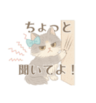 モフかわ毛長ねこピノの日常スタンプ（個別スタンプ：17）
