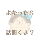 モフかわ毛長ねこピノの日常スタンプ（個別スタンプ：23）