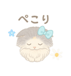 モフかわ毛長ねこピノの日常スタンプ（個別スタンプ：27）