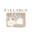モフかわ毛長ねこピノの日常スタンプ（個別スタンプ：30）