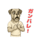 ボクサーの喜怒哀楽スタンプ1（個別スタンプ：12）
