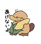 カモノハシの橋下さん 2（個別スタンプ：15）