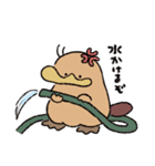 カモノハシの橋下さん 2（個別スタンプ：17）