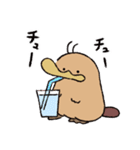カモノハシの橋下さん 2（個別スタンプ：24）