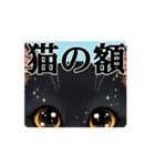 omoshirokotowaza（個別スタンプ：13）