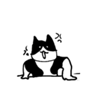 猫のスタンプ(しかも動く)（個別スタンプ：3）