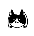 猫のスタンプ(しかも動く)（個別スタンプ：5）