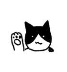 猫のスタンプ(しかも動く)（個別スタンプ：10）