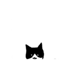 猫のスタンプ(しかも動く)（個別スタンプ：12）