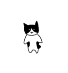 猫のスタンプ(しかも動く)（個別スタンプ：13）