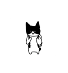 猫のスタンプ(しかも動く)（個別スタンプ：16）