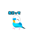 セキセイインコのマイちゃん2（個別スタンプ：3）