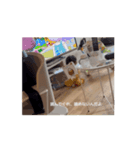 ゆらちゃんです！（個別スタンプ：8）