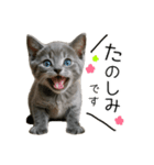 毎日つかえる！ロシブル！【日常会話】（個別スタンプ：2）
