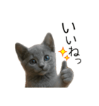 毎日つかえる！ロシブル！【日常会話】（個別スタンプ：4）