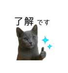 毎日つかえる！ロシブル！【日常会話】（個別スタンプ：9）