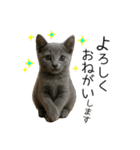 毎日つかえる！ロシブル！【日常会話】（個別スタンプ：11）