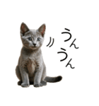 毎日つかえる！ロシブル！【日常会話】（個別スタンプ：13）