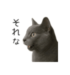 毎日つかえる！ロシブル！【日常会話】（個別スタンプ：14）