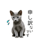 毎日つかえる！ロシブル！【日常会話】（個別スタンプ：18）
