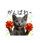 毎日つかえる！ロシブル！【日常会話】（個別スタンプ：21）