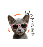 毎日つかえる！ロシブル！【日常会話】（個別スタンプ：25）