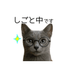 毎日つかえる！ロシブル！【日常会話】（個別スタンプ：26）
