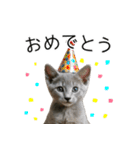 毎日つかえる！ロシブル！【日常会話】（個別スタンプ：28）