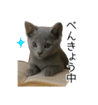 毎日つかえる！ロシブル！【日常会話】（個別スタンプ：32）