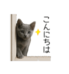 毎日つかえる！ロシブル！【日常会話】（個別スタンプ：33）