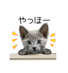 毎日つかえる！ロシブル！【日常会話】（個別スタンプ：34）
