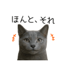 毎日つかえる！ロシブル！【日常会話】（個別スタンプ：38）
