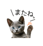 毎日つかえる！ロシブル！【日常会話】（個別スタンプ：40）