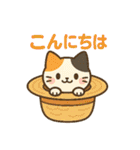 収まりネコシリーズ、ビッグシリーズ 夏（個別スタンプ：1）