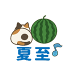 収まりネコシリーズ、ビッグシリーズ 夏（個別スタンプ：11）