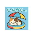 収まりネコシリーズ、ビッグシリーズ 夏（個別スタンプ：13）