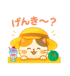 収まりネコシリーズ、ビッグシリーズ 夏（個別スタンプ：17）
