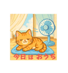 収まりネコシリーズ、ビッグシリーズ 夏（個別スタンプ：24）