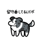 いつでも使えるボーダーコリー（青マール）（個別スタンプ：6）