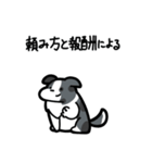 いつでも使えるボーダーコリー（青マール）（個別スタンプ：28）