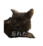 もつとまつ（個別スタンプ：14）
