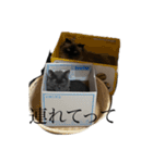 もつとまつ（個別スタンプ：21）