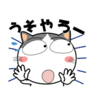 ハチワレ猫★関西のことば（個別スタンプ：3）
