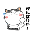 ハチワレ猫★関西のことば（個別スタンプ：6）