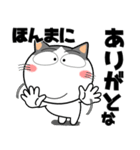 ハチワレ猫★関西のことば（個別スタンプ：13）