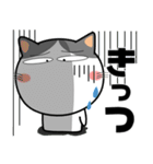 ハチワレ猫★関西のことば（個別スタンプ：26）