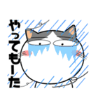 ハチワレ猫★関西のことば（個別スタンプ：28）
