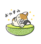 夏！毎年使える！にゃんぴーす（個別スタンプ：7）